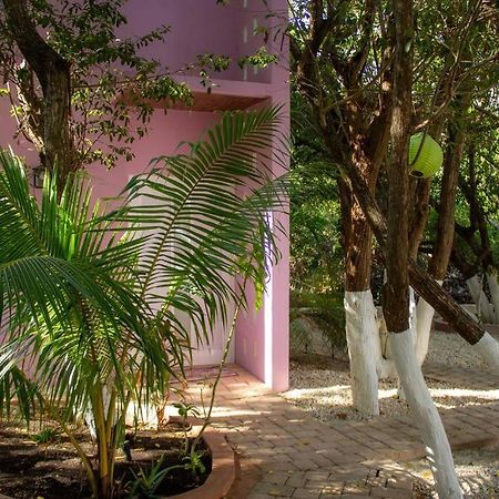 Casa Rosse Vila Tulum Exterior foto